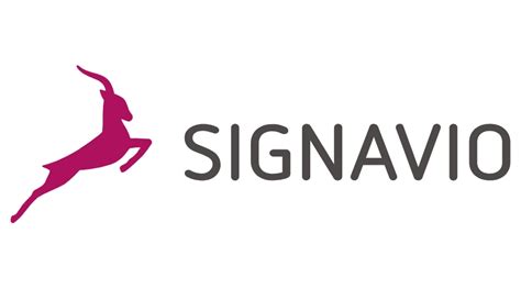 Signavio Raises 177 Million Led By Apax Digital To Accelerate Global