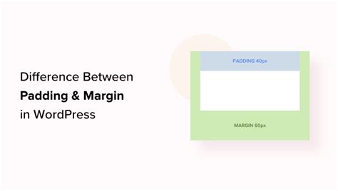 What S The Difference Between Padding And Margin In WordPress MateYou