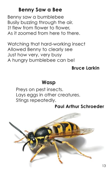 Poems About Insects