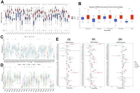 Comprehensive Bioinformatics Analysis Of Ribonucleoside Diphosphate