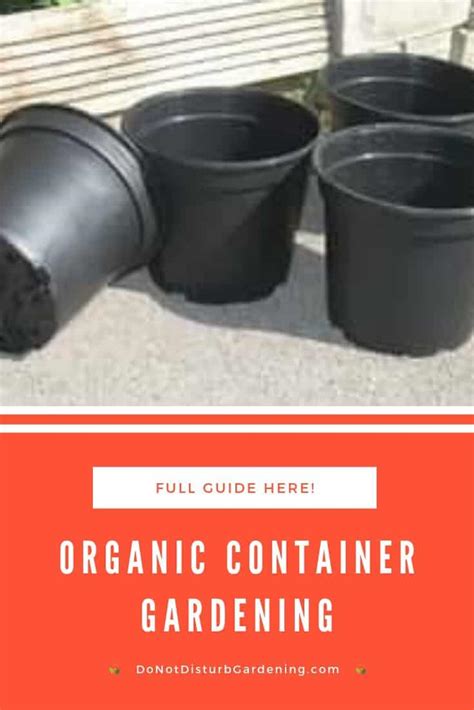 What Is Organic Container Gardening A Guide To Getting Started Do Not Disturb Gardening