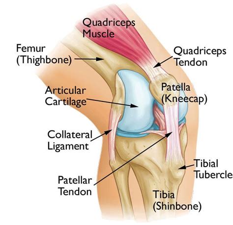 Kneecap Pain