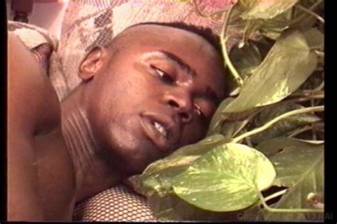 Black Tushy Pink Pussy Vol By Heatwave HotMovies