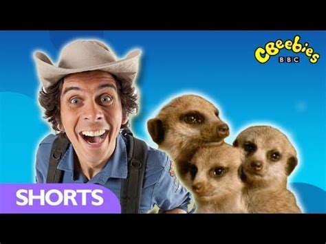 Andy's Wild Adventures - Elephant Safari | Doovi