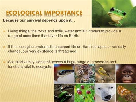 Ecological And Economical Importance Of Biodiversity