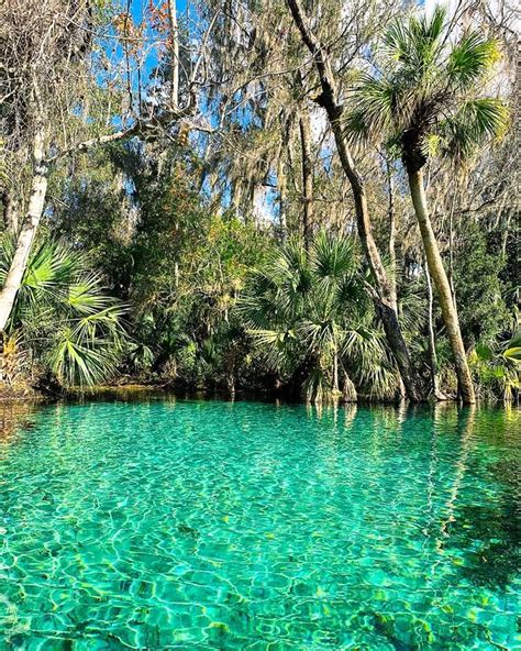 Rainbow Springs State Park | Florida state parks, Rainbow springs state ...