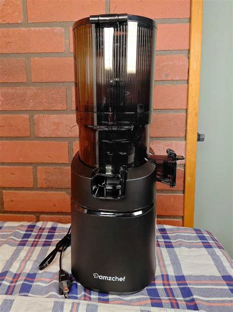 Review Of The Amzchef Self Feeding Masticating Juicer Delishably