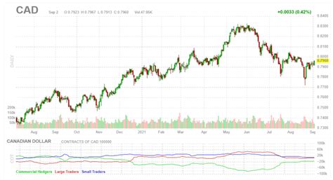 The Cot Report And How To Trade It In Forex