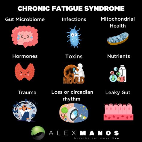 Chronic Fatigue Syndrome A Functional Medicine Approach