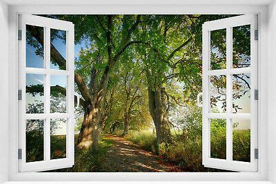 3D Wandillusion FOTOTAPETE Fensterblick Wald Natur Landschaft VLIES