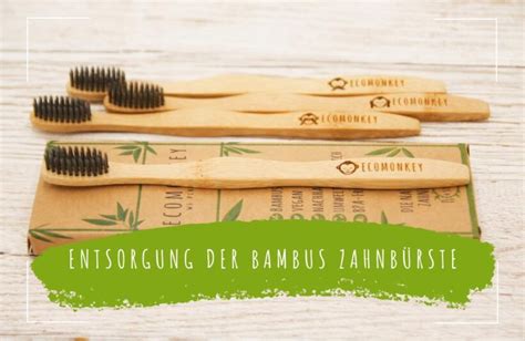 Entsorgung Der Bambus Zahnb Rste Ecomonkey