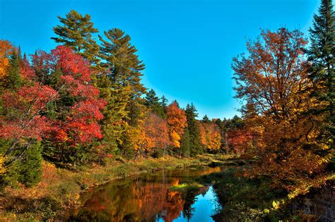 Upper Branch Of The Moose River In Autumn Photograph By David Patterson