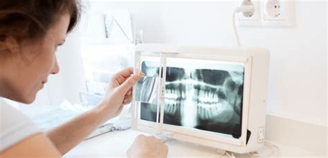 Fiche Métier Chirurgien Dentiste Tout Savoir Sur Ce Pilier De La Santé