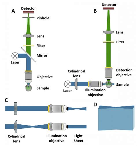 What Is Light Sheet Microscopy?