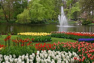 Keukenhof Flower Garden | Asia Free Travel