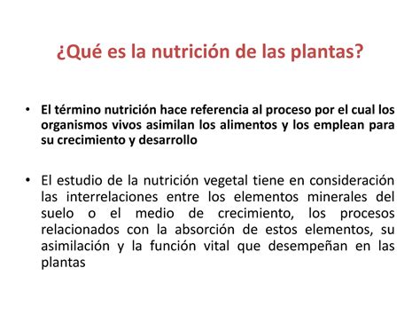 Nutrici N Mineral Fisiolog A Vegetal Ii Es La De Las Plantas El