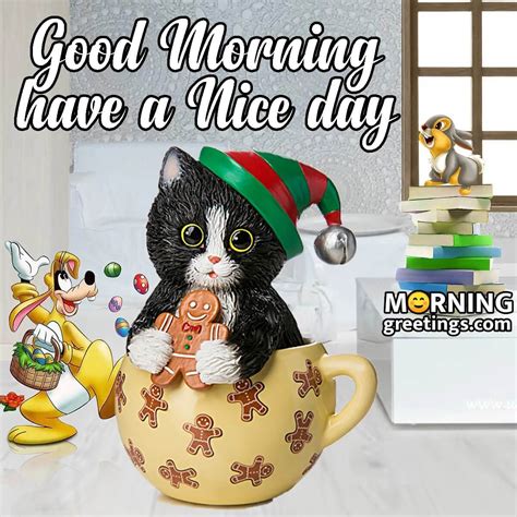 Adorable Good Morning Cat Greetings To Start Your Day Morning Greetings