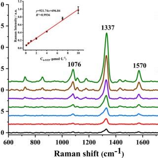 SERS Spectra Of 4 Nitrothiophenol Using Au MOF 74 As The SERS Active