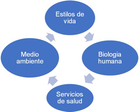 Factores Determinantes De La Salud Cursos Online