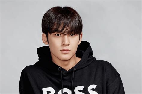 Profil Dan Biodata Mingyu Rapper Boy Group Seventeen Yang Berulang