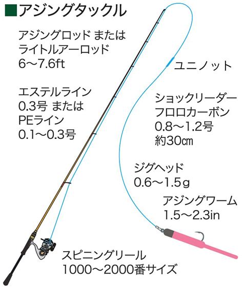 初心者必見！アジの釣り方やアジングにおすすめのタックル選びをご紹介｜アウトドア用品・釣り具通販はナチュラム Fish Chart Line