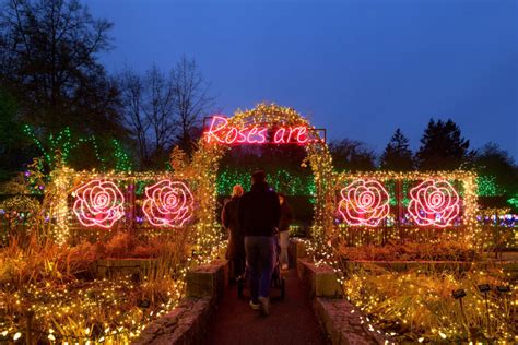 Vandusen Festival Of Lights Promo Code 2024 Promo Code Esta Olenka