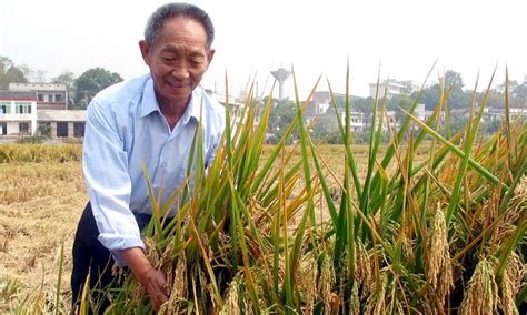 Yuan Longping Father Of Hybrid Rice Khmer Times