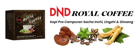 Dnd Royal Coffee Shima Omar