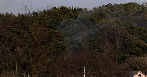 전주 중인동 야산서 불30분 만에 큰 불길 잡아