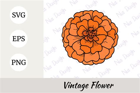 Flower Illustration Marigold Flower Svg Gráfico Por Nurdesign99