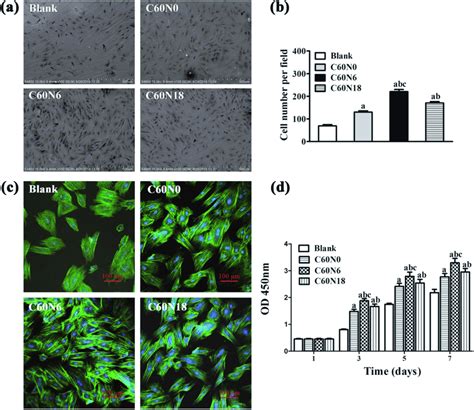 Cell Morphology And Cell Attachment Of Cultures Grown On Zirconia