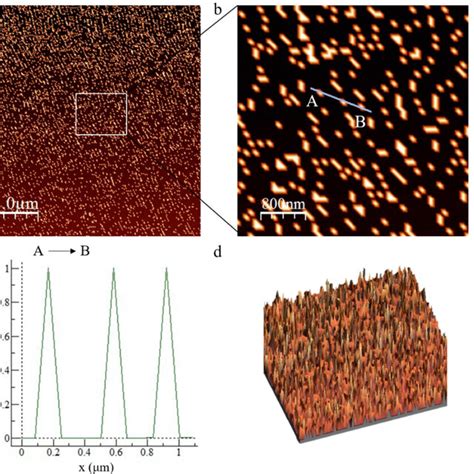 Characterizations Of Au Hybrid Hollow Nanocone Sers Substrates Sem Download Scientific Diagram