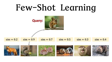 Few Shot Learning Basic Concepts Youtube