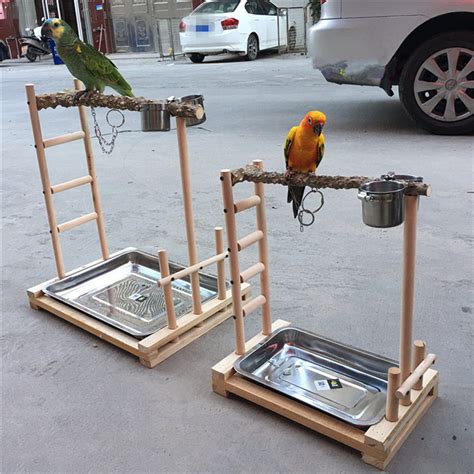 Parrot Tree Bird Stand Wood Parrot Stand Play Gym Center Bird Training