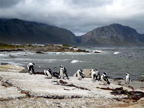 Cape Overberg - The Cape Explorer