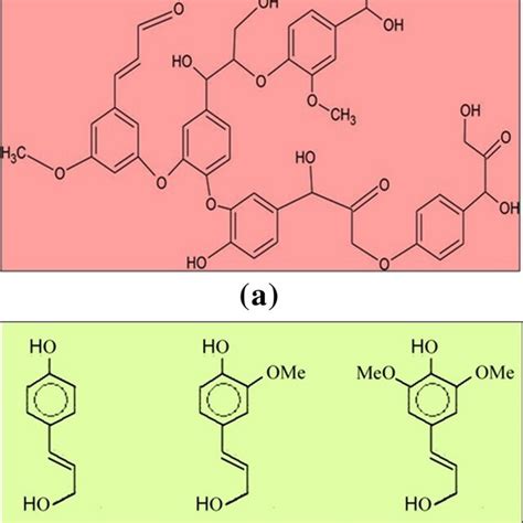 A Chemical Structure Of Lignin Retrieved From Mahmood Et Al B