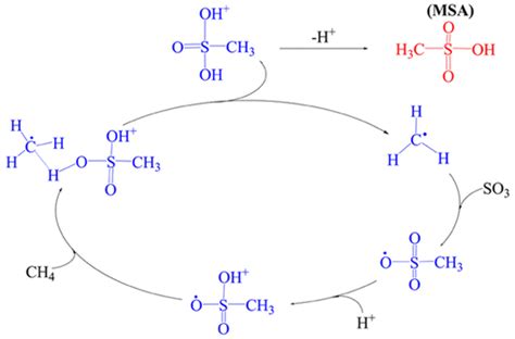 The Journal Of Physical Chemistry Letters X Mol