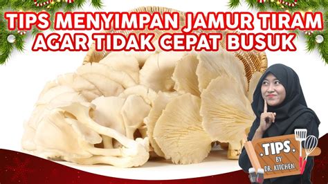 Stok Jamur Tiram Dijamin Tahan Lama Ini Dia Cara Menyimpan Jamur Tiram