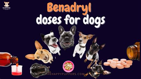 Benadryl Doses For Dogs A Complete Guide The Happy Puppers