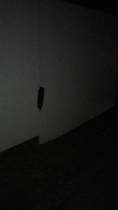 Oeffentliches Glory Hole Im Aaargau Schweiz Gay Porn C XHamster