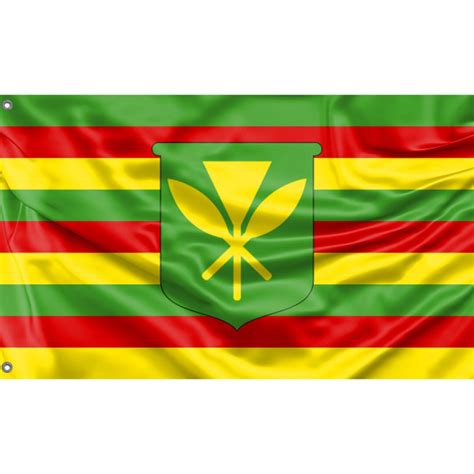 Kanaka Maoli Flag, Unofficial Hawaii Flag, Unique Print, 3x5 Ft ...