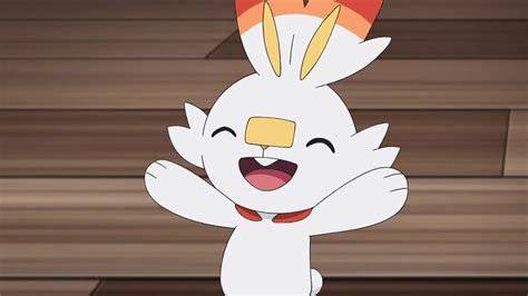 Pin on Scorbunny