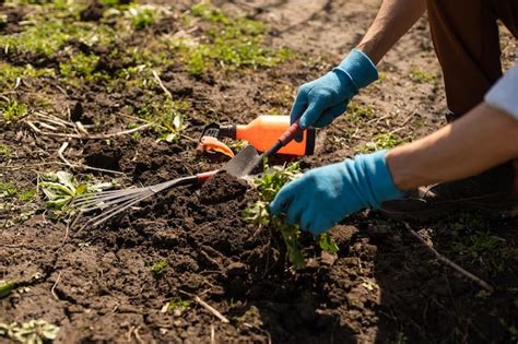 Premium Photo | Farmer in the vegetable garden, gardening tools