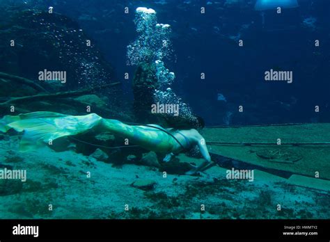 Mermaids Performing Underwater At Weeki Wachee Springs State Park Stock