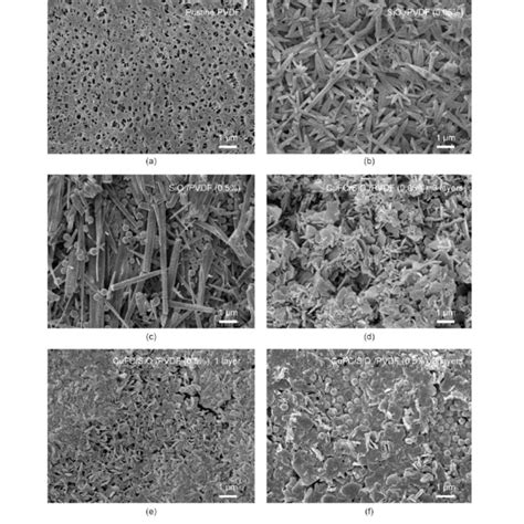 Surface Morphology Of The Pvdf Membranes A Pristine Pvdf Membrane Download Scientific