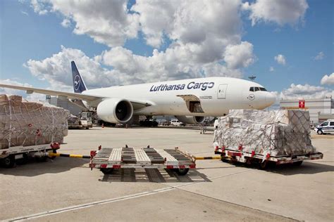 Luftfracht Lufthansa Cargo Errichtet Mit Georgi Handling E Commerce