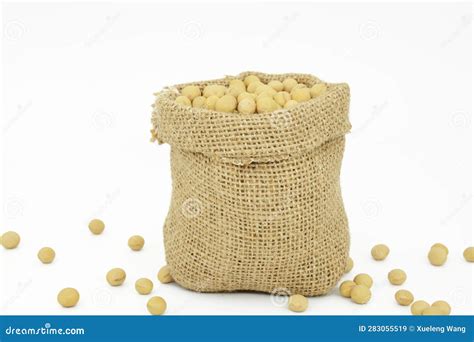 A Bag Of Soybeans With White Background Stock Image Image Of Crochet