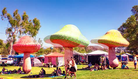 Camping Entry & Hours – Nocturnal Wonderland 2024