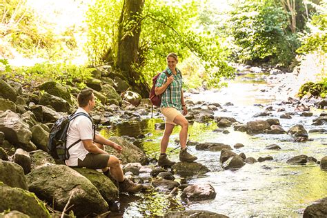 M6 Tal der schwarzen Nister Hardter Mühle Wildganz