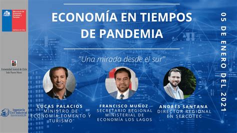 Economía En Tiempos De Pandemia Una Mirada Desde El Sur Noticias Uach